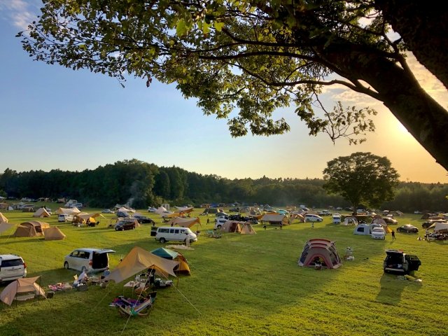 Azarxis パックシンク 13l 折りたたみバケツ キャンプバケツ コンパクト 四角 携行便利 布バケツ 多機能 自立式 屋外用 キャンプ場 お釣り 洗濯 水汲み 足湯 収納ボックス 100 の保証