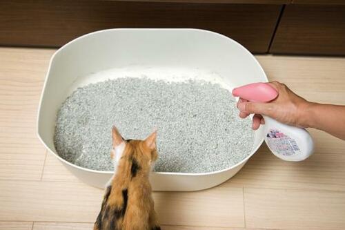 ポイント1：香りが強いものは選ばない 猫用消臭剤おすすめ イメージ