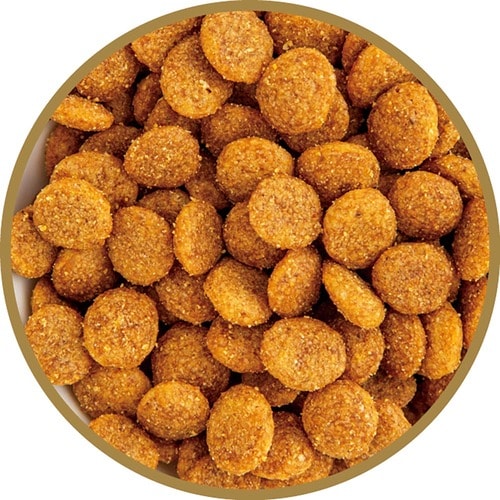 猫用ドライフードおすすめ ペティオ プラクト キャット ドライフード 幼猫~成猫用 チキン味 イメージ2