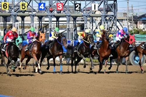 高感度画質や色あいも良好！「カンタン・キレイ」を実現しています イメージ2