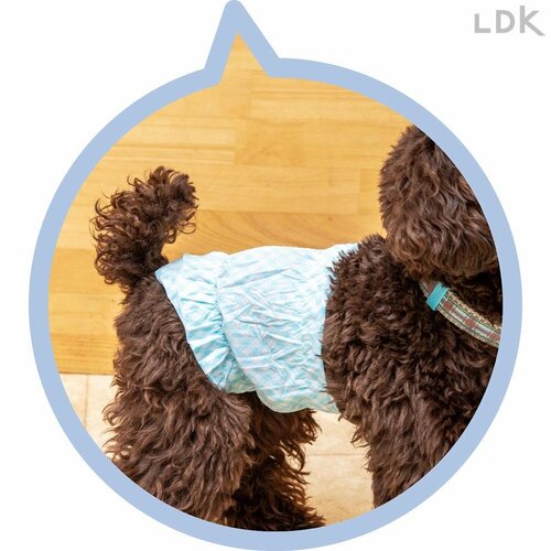 尿の色をチェックしやすい 犬用おむつおすすめ イメージ