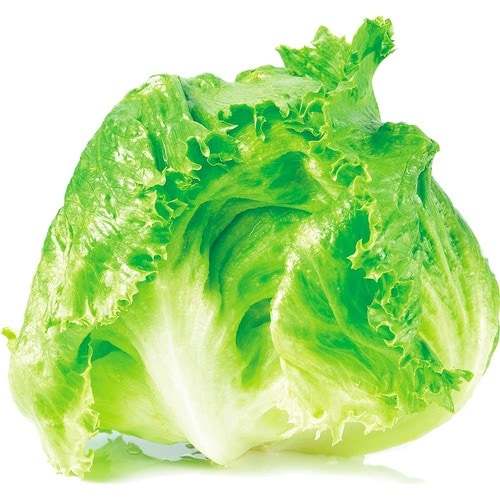 保存期間:約2週間 野菜の冷凍保存方法おすすめ イメージ