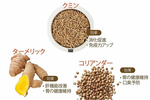 スパイスカレーの基本は“タクコ®” レトルトカレーおすすめ イメージ
