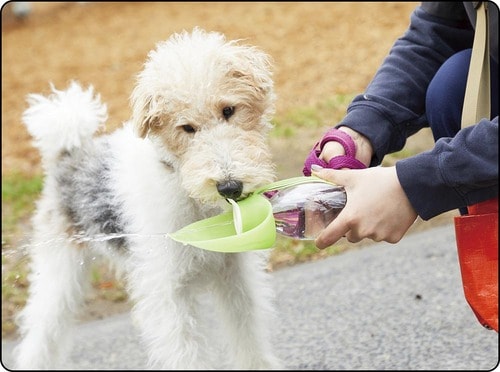 シリコン製の飲み皿を強く引っ張る必要あり 犬用給水ボトルおすすめ イメージ
