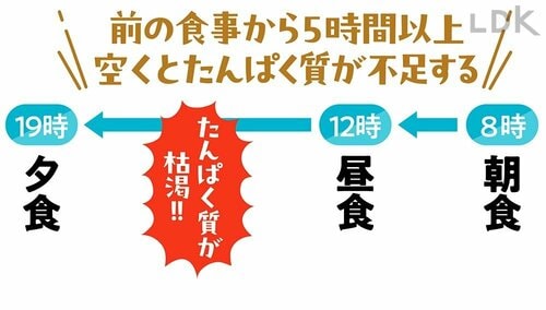 “たんぱくおやつ”のポイントは? イメージ