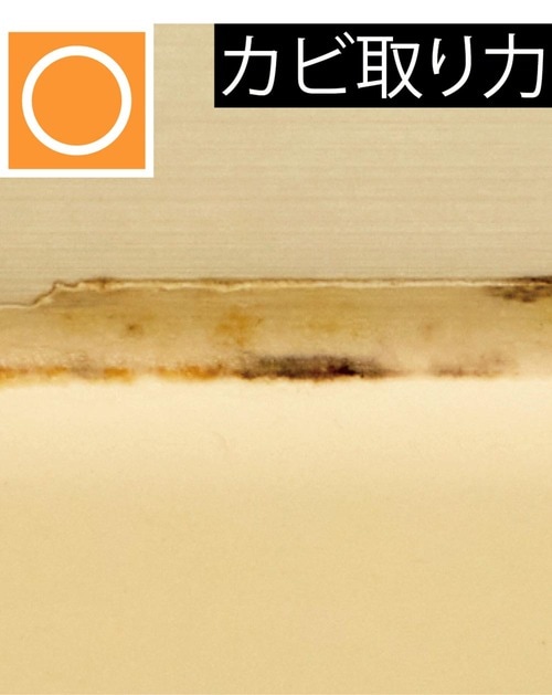 カビ取り力 カビ取りスプレーおすすめ イメージ