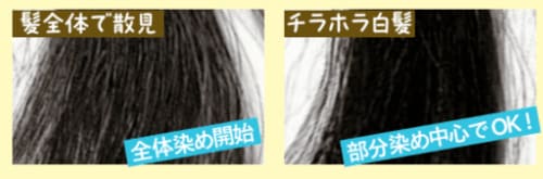 セルフ白髪染めはどのタイミングで始めたらいい? 白髪染めヘアカラーおすすめ イメージ