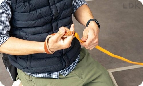 テスト3:負担の少なさ 犬用リードおすすめ イメージ