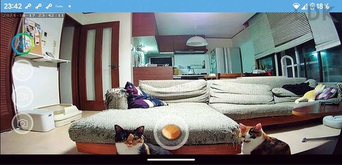 広角レンズだから一度に見られる範囲は広い ペットカメラおすすめ イメージ