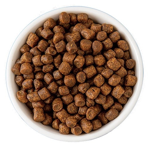 グレインフリーキャットフードおすすめ グローバルペット ニュートリション ゴー！ソリューションズ カーニボア サーモン＋タラレシピ イメージ2