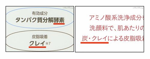 酵素×吸着成分配合の製品が増加中 酵素洗顔おすすめ イメージ