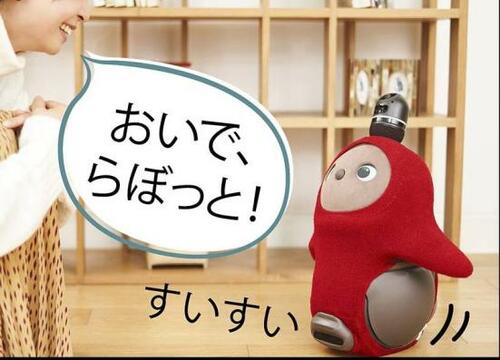癒しポイント:愛らしい動きにトリコになる