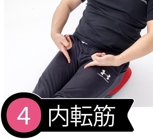 4：内転筋 イメージ