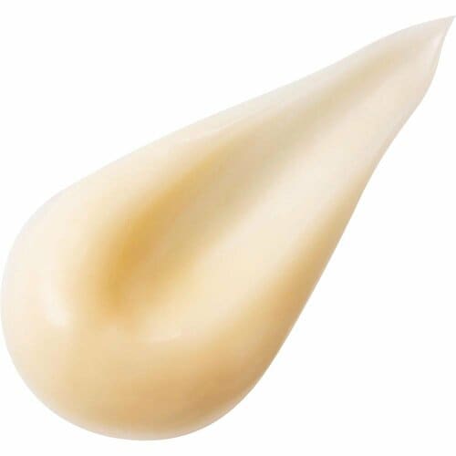 保湿クリームおすすめ CNP Laboratory プロP S クリーム イメージ2