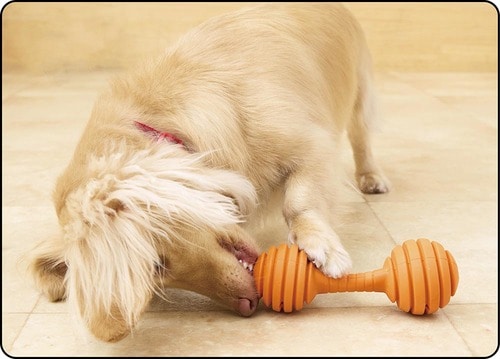 フードのサイズやツメの長さで難易度が変わる 犬用おもちゃおすすめ イメージ2
