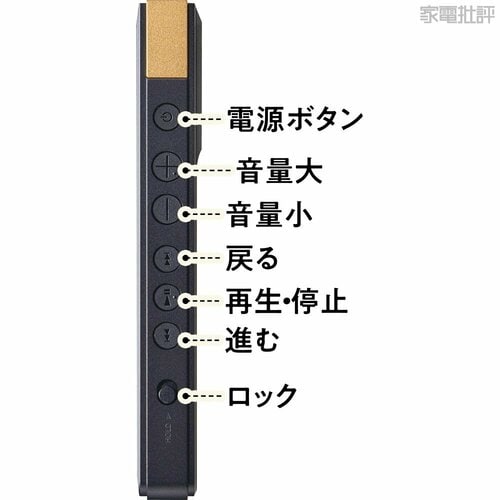 全部入りの多機能モデル DAPおすすめ イメージ