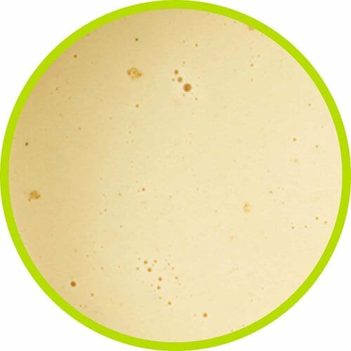 プロテインスープおすすめ 武内製薬 ザプロ×ニッポンエール スーププロテイン オニオン ポタージュ風味 イメージ2