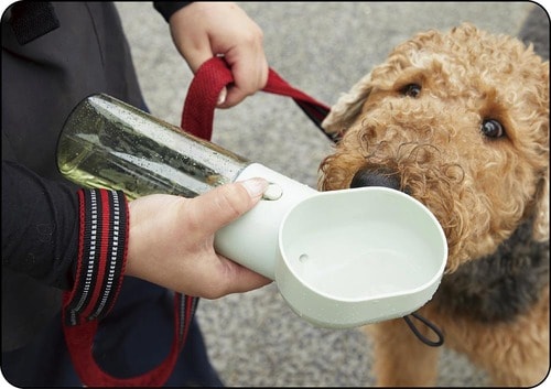 選び方1：水の出しやすさ 犬用給水ボトルおすすめ イメージ