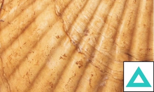 即効ホワイトニング力 ホワイトニングジェルおすすめ イメージ