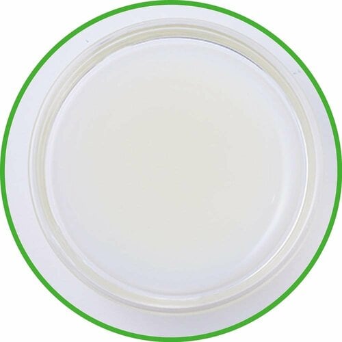 5位: アサヒ飲料「『届く強さの乳酸菌』W『プレミアガセリ菌CP2305』