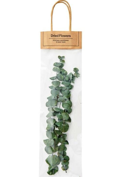 番外編：3COINS「ドライフラワーMIX」 イメージ2