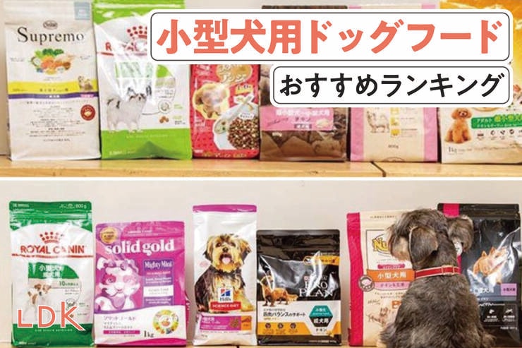 小型犬用ドッグフードのおすすめランキング。LDKが小型犬から大型犬用まで市販の人気商品を比較
