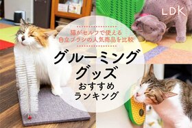 【LDK公式】猫のセルフグルーミンググッズのおすすめランキング5選。自立ブラシの人気製品を比較【2025年】