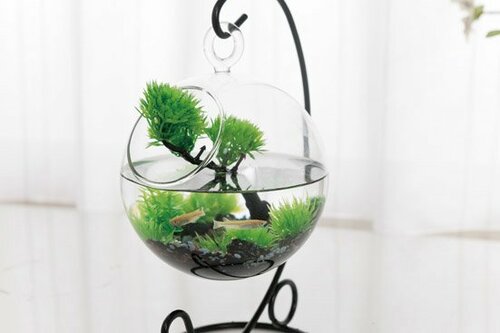 机の上にも置いておける小型がウリのカワイイ水槽 イメージ2