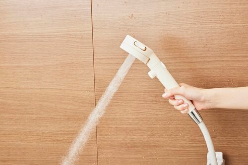 ジェット 節水シャワーヘッドおすすめ イメージ