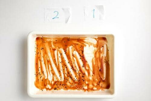 レンジや冷蔵庫の掃除に!水分たっぷり拭き取りクリーナー