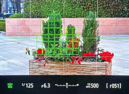 EVF 家電批評ベストバイオブザイヤーおすすめ イメージ