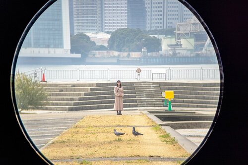<昼間>100m 双眼鏡おすすめ イメージ