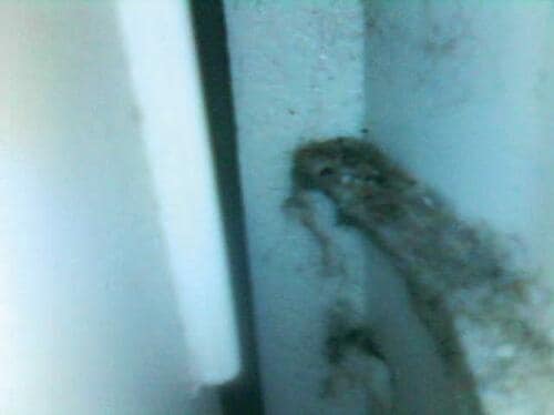水アカびっしりの洗濯槽の裏や底、フチがこんなにキレイに!