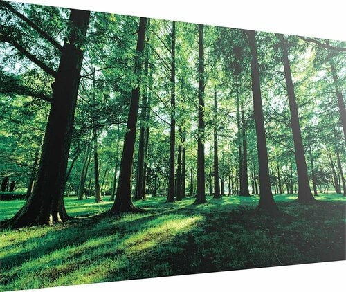 エディオン「50P63E」 イメージ