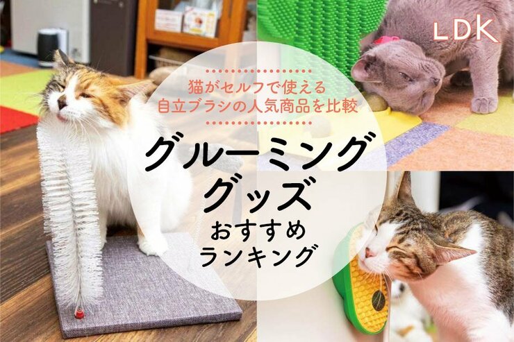 【2025年】猫のセルフグルーミンググッズのおすすめランキング5選。自立ブラシの人気製品をLDKが比較
