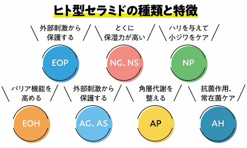 選び方2:ヒト型セラミドが複数種類のものをチェック セラミド化粧水おすすめ イメージ