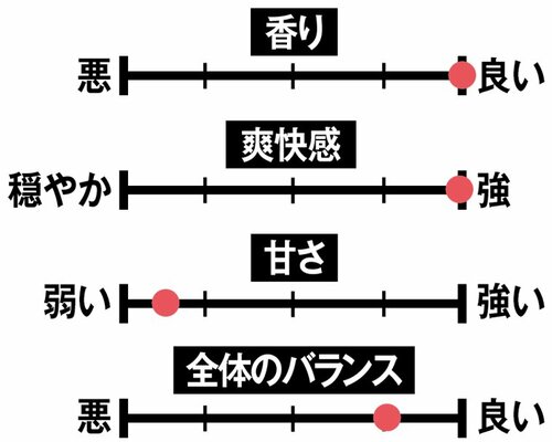 【2位】氷を入れて飲みたい「ザ・ストロング ハードレモン」