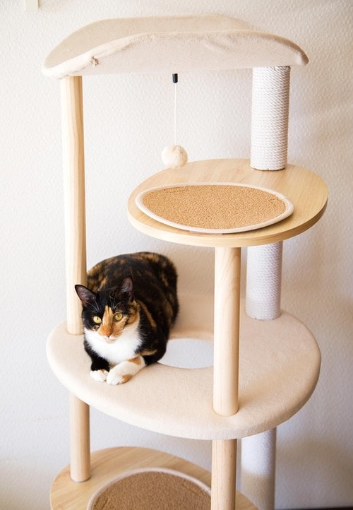 天然木を使用していて温かみがある キャットタワーおすすめ イメージ2