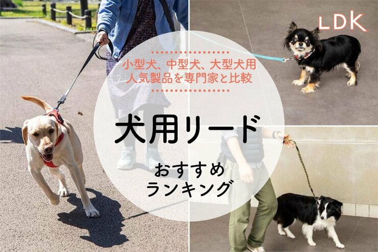 犬用リードのおすすめランキング23選。小型犬から大型犬用まで人気製品をLDKが徹底比較