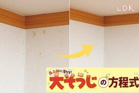 【白さよみがえり】リビング壁の謎シミ、洗濯に使うあの洗剤で落ちるんです【LDK大掃除】