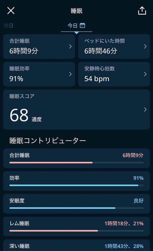 項目がわかりやすい スマートリングおすすめ イメージ