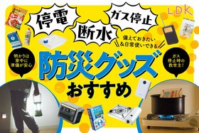 【LDK公式】防災グッズのおすすめ30選。備えておきたいアイテムや活用法を防災士と紹介【2024年】