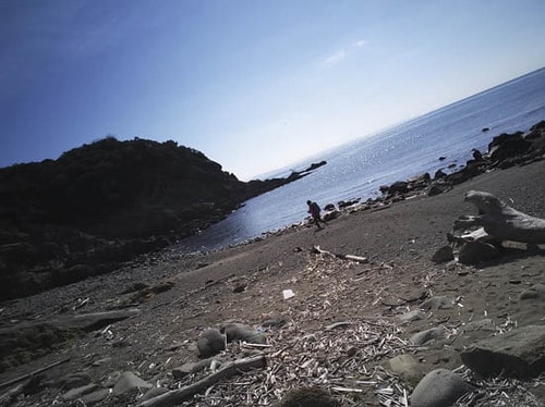 [もうひとつ]旅の記録を自動撮影できるライフログカメラ イメージ7