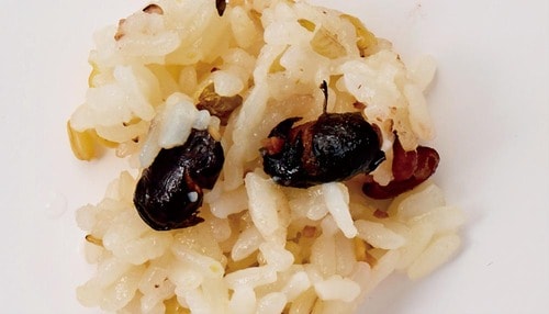 食感が楽しく飽きない 雑穀米おすすめ イメージ