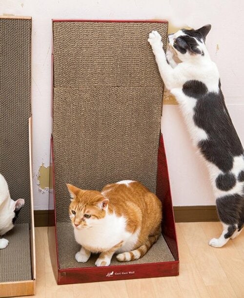 ネコが休憩するのにちょうどいいサイズ 猫用爪とぎおすすめ イメージ