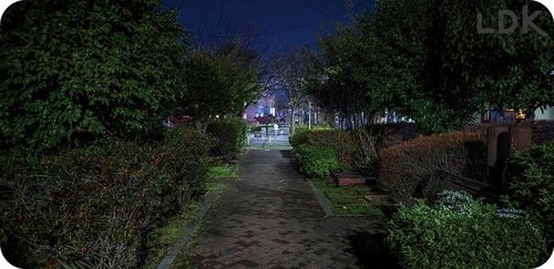 視認性の検証方法 犬のお散歩用ライトおすすめ イメージ