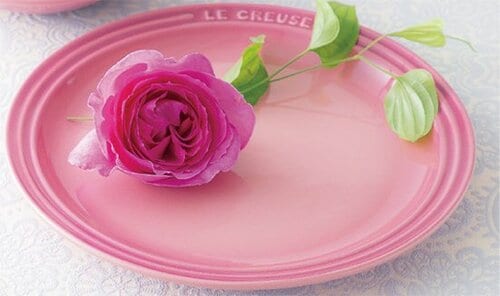 Le Creuset:ラウンドプレート:23cm:皿:食器