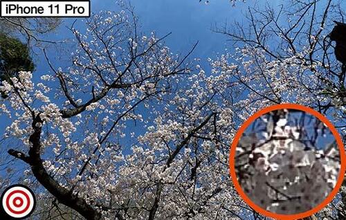 カメラの画素数は高いけれど撮影写真はちょっと残念