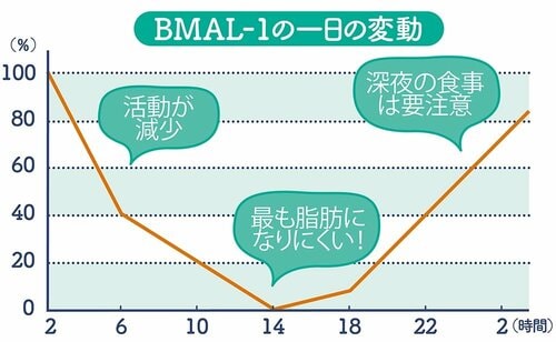 BMAL-1の1日の変動のグラフの画像
