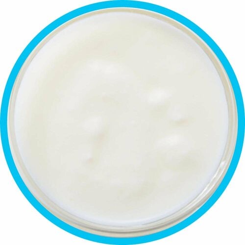 ヨーグルトおすすめ トモヱ乳業 北海道プレーン ヨーグルト イメージ2